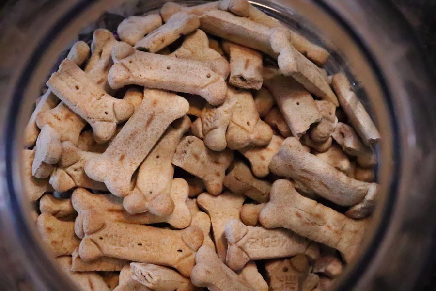 domáce pamlsky maskrty pre psov dog treats recepty na pamlsky