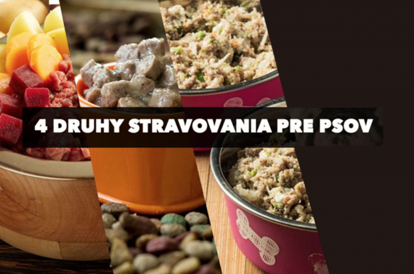 4 druhy stravovania pre psov