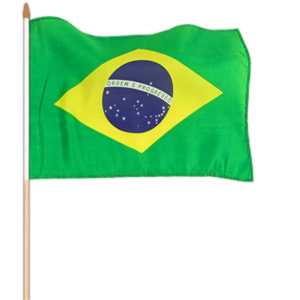 Vlajka Brazília 45x30cm