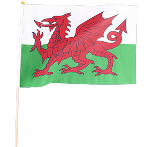 Vlajka Wales 45 x 30 cm