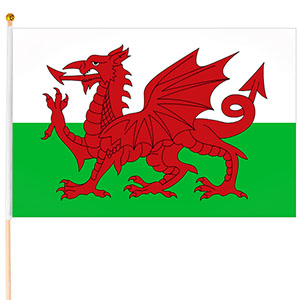 Vlajka Wales 45 x 30 cm